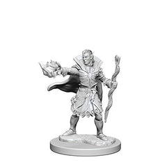 Paizo Dungeons and Dragons Elf Sorcerer Pathfinder Deep Cuts Unpainted s Elf Male Sorcerer Miniature D&D WZK-72605