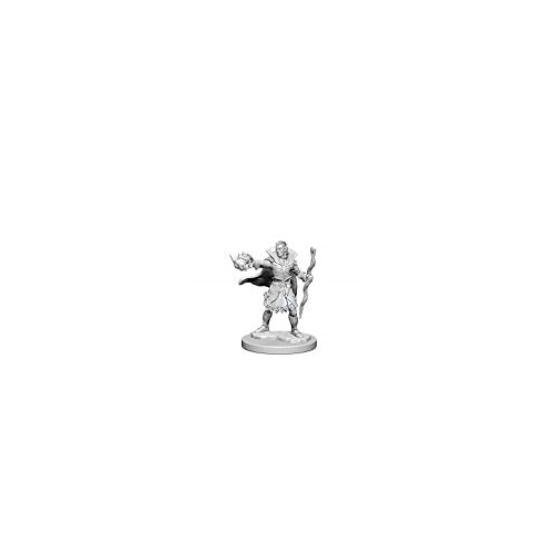 Paizo Dungeons and Dragons Elf Sorcerer Pathfinder Deep Cuts Unpainted s Elf Male Sorcerer Miniature D&D WZK-72605
