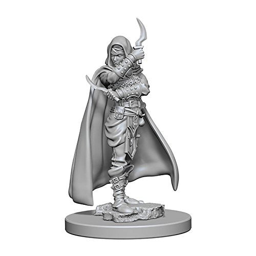 Wizkids Dungeons And Dragons Human Rogue Pathfinder Deep Cuts Unpainted Human Female Rogue Miniature D&D WZK72603