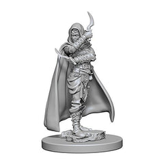Wizkids Dungeons And Dragons Human Rogue Pathfinder Deep Cuts Unpainted Human Female Rogue Miniature D&D WZK72603