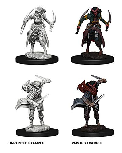 Dungeons and Dragons Wizkids Tiefling Rogue Nolzurs Marvelous Unpainted s Wave 7 Tiefling Female Rogue Miniature D&D WZK-73339