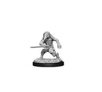 Dungeons and Dragons Wizkids Kenku MonsterNolzur's Marvelous s Wizkids Kenku Adventurers Miniature D&D WZK73840