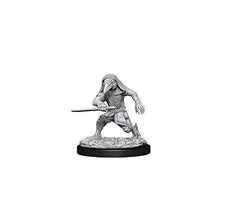 Dungeons and Dragons Wizkids Kenku MonsterNolzur's Marvelous s Wizkids Kenku Adventurers Miniature D&D WZK73840