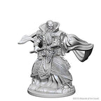 Dungeons & Dragons Wizkids Human Wizard Nolzur's Marvelous Unpainted Minis Human Male Miniature WZK72618