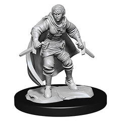 Dungeons and Dragons Wizkids HalfElf Rogue Nolzurs Marvelous Unpainted s W14 HalfElf Rogue Female Miniature D&D WZK90228
