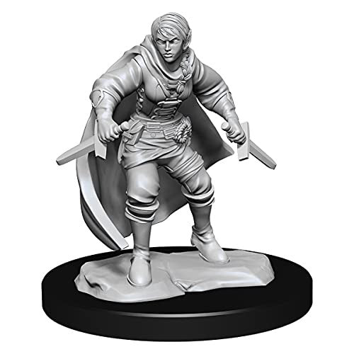 Dungeons and Dragons Wizkids HalfElf Rogue Nolzurs Marvelous Unpainted s W14 HalfElf Rogue Female Miniature D&D WZK90228
