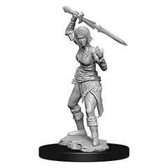 Wizkids Dungeons And Dragons Monster Magic The Gathering Unpainted s W14 Nahiri Miniature D&D WZK90274