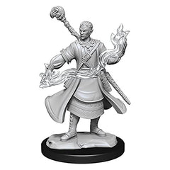 Dungeons and Dragons Wizkids HalfElf Wizard Nolzurs Marvelous Unpainted s W14 HalfElf Wizard Male Miniature D&D WZK90229