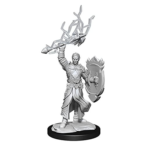 Dungeons and Dragons Wizkids HalfElf Paladin Nolzurs Marvelous Unpainted s W14 HalfElf Paladin Male Miniature D&D WZK90230