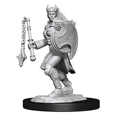 Wizkids Dungeons And Dragons Kalashtar Cleric Nolzur's Marvelous Unpainted S W14 Kalashtar Cleric Female Miniature D&D WZK90233