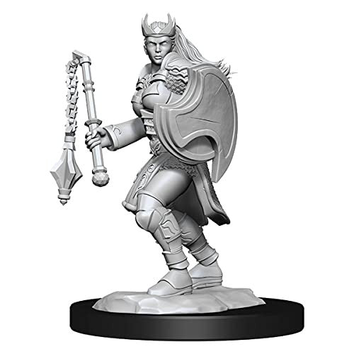 Wizkids Dungeons And Dragons Kalashtar Cleric Nolzur's Marvelous Unpainted S W14 Kalashtar Cleric Female Miniature D&D WZK90233