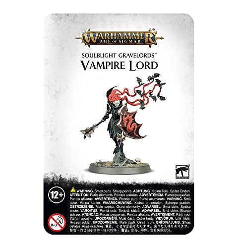 Games Workshop Warhammer Age of Sigmar Soulblight Gravelords Vampire Lord 91-52