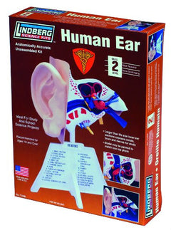 Lindberg Human Ear