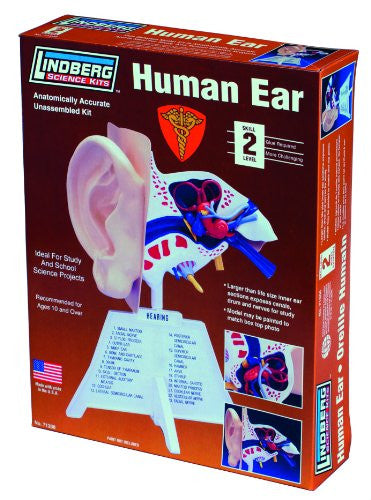 Lindberg Human Ear