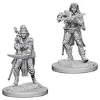 Paizo Dungeons and Dragons Elf BardPathfinder Deep Cuts Unpainted s Wave 4 Elf Female Bard Miniature D&D WZK72611