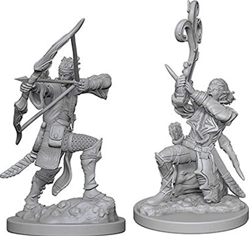 Dungeons and Dragons Wizkids Elf Bard Nolzurs Marvelous Unpainted s Wave 4 Elf Male Bard Aasimar Paladin Miniature D&D WZK72632