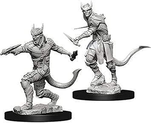 Dungeons and Dragons Wizkids Tiefling Rogue Nolzurs Marvelous Unpainted s Wave 5 Tiefling Male Rogue Miniature D&D WZK73338