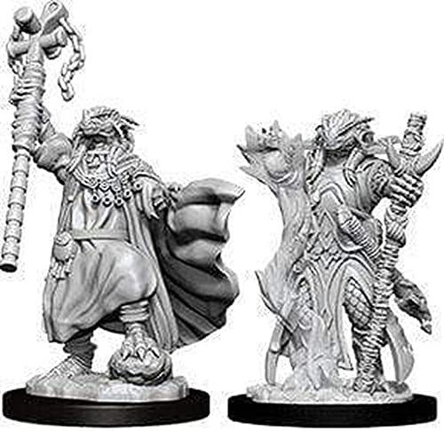 Wizkids Dungeons And Dragons Dragonborn Sorcerer Nolzur's Marvelous S Nolzur's Marvelous Unpainted S Wave 8 Dragonborn Female Sorcerer Miniature D&D WZK73674