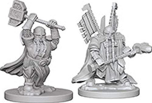 Dungeons and Dragons Wizkids Dwarf PaladinDungeons And Dragons Nolzurs Marvelous Unpainted s Dwarf Male Paladin Miniature D&D WZK72630