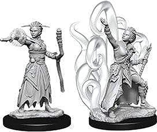 Wizkids Dungeons And Dragons Games Female Human Warlock Unpainted Miniatures D&D WZK73837