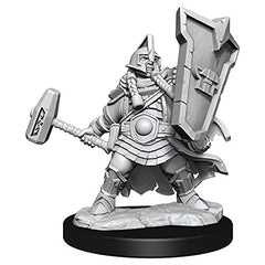 Dungeons and Dragons Wizkids Dwarf Cleric Frameworks W01 Dwarf Cleric Female Miniature D&D WZK75010