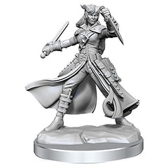 Dungeons and Dragons Wizkids Tiefling Rogue Frameworks W01 Tiefling Rogue Female Miniature D&D WZK75020
