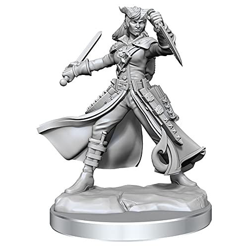 Dungeons and Dragons Wizkids Tiefling Rogue Frameworks W01 Tiefling Rogue Female Miniature D&D WZK75020