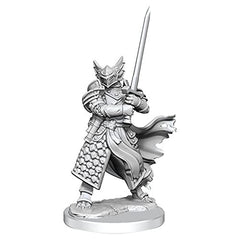 Dungeons and Dragons Wizkids Dragonborn Paladin Frameworks W1 Dragonborn Paladin Male Miniature D&D WZK75022
