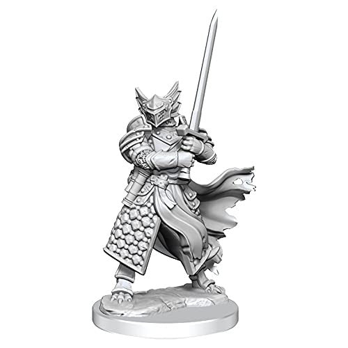 Dungeons and Dragons Wizkids Dragonborn Paladin Frameworks W1 Dragonborn Paladin Male Miniature D&D WZK75022