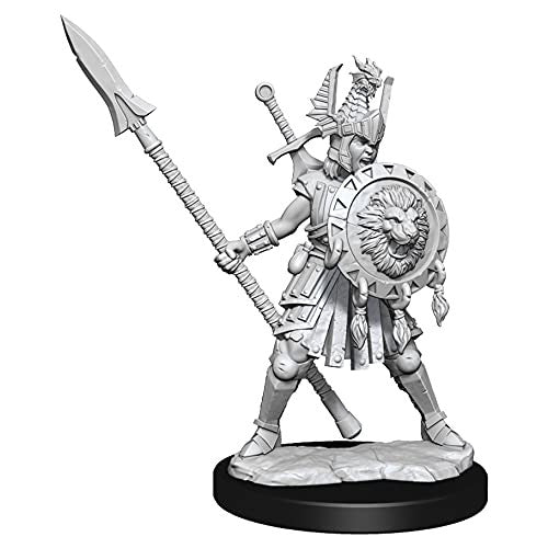 Dungeons and Dragons Wizkids Human Fighter Frameworks W01 Human Fighter Female Miniature D&D WZK75025