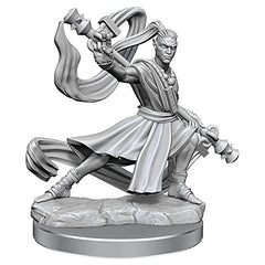 Wizkids Dungeons And Dragons Elf Monk Frameworks W01 Elf Monk Male Miniature D&D WZK75027
