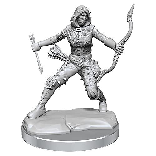 Dungeons and Dragons Wizkids Human Rogue Frameworks W01 Human Rogue Female Miniature D&D WZK75038