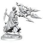 Wizkids Dungeons And Dragons Dragonborn Sorcerer Frameworks W01 Female Miniature D&D WZK75035