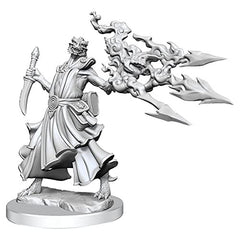 Wizkids Dungeons And Dragons Dragonborn Sorcerer Frameworks W01 Female Miniature D&D WZK75035