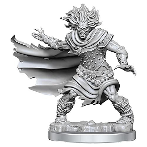 Wizkids Dungeons And Dragons Monster Frameworks W01 Wight Miniature D&D WZK75052