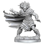Wizkids Dungeons And Dragons Monster Frameworks W01 Wight Miniature D&D WZK75052
