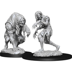 Paizo Dungeons and Dragons Monster Pathfinder Deep Cuts Unpainted s W14 Annis Hag & Green Hag Miniature D&D WZK90266