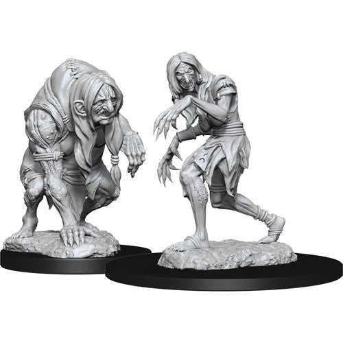 Paizo Dungeons and Dragons Monster Pathfinder Deep Cuts Unpainted s W14 Annis Hag & Green Hag Miniature D&D WZK90266