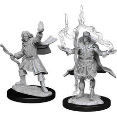 Paizo Dungeons and Dragons Elf SorcererPathfinder Deep Cuts Unpainted s W14 Elf Sorcerer Male Miniature D&D WZK90262