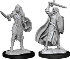 Paizo Dungeons and Dragons Human PaladinPathfinder Deep Cuts Unpainted s W14 Human Champion Female Miniature D&D WZK90264