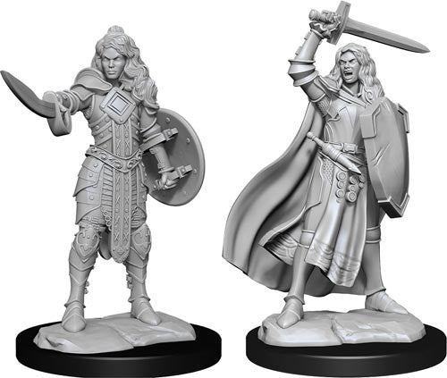 Paizo Dungeons and Dragons Human PaladinPathfinder Deep Cuts Unpainted s W14 Human Champion Female Miniature D&D WZK90264