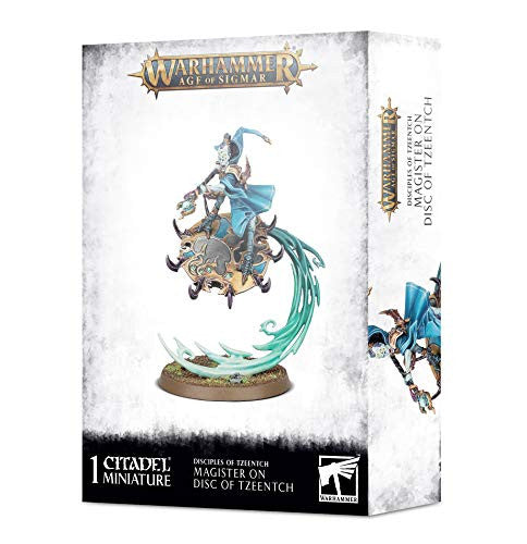 Games Workshop Warhammer Age of Sigmar Disciples of Tzeentch Magister on Disc of Tzeentch 97-39