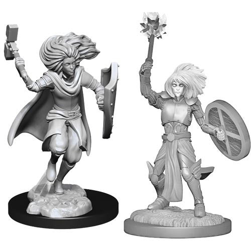 Wizkids Dungeons And Dragons Changeling Cleric Nolzur's Marvelous Unpainted S W14 Changeling Cleric Male Miniature D&D WZK90237