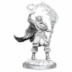 Dungeons & Dragons Nolzur's Marvelous Miniatures Elf Cleric Male W16 WZK90404
