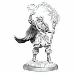 Dungeons & Dragons Nolzur's Marvelous Miniatures Elf Cleric Male W16 WZK90404