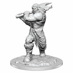 Dungeons & Dragons Wizkids Monster Nolzur's Marvelous s Ogre Female W16" Miniature WZK90426