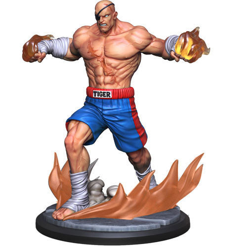 Street Fighter Miniatures Game Core Box