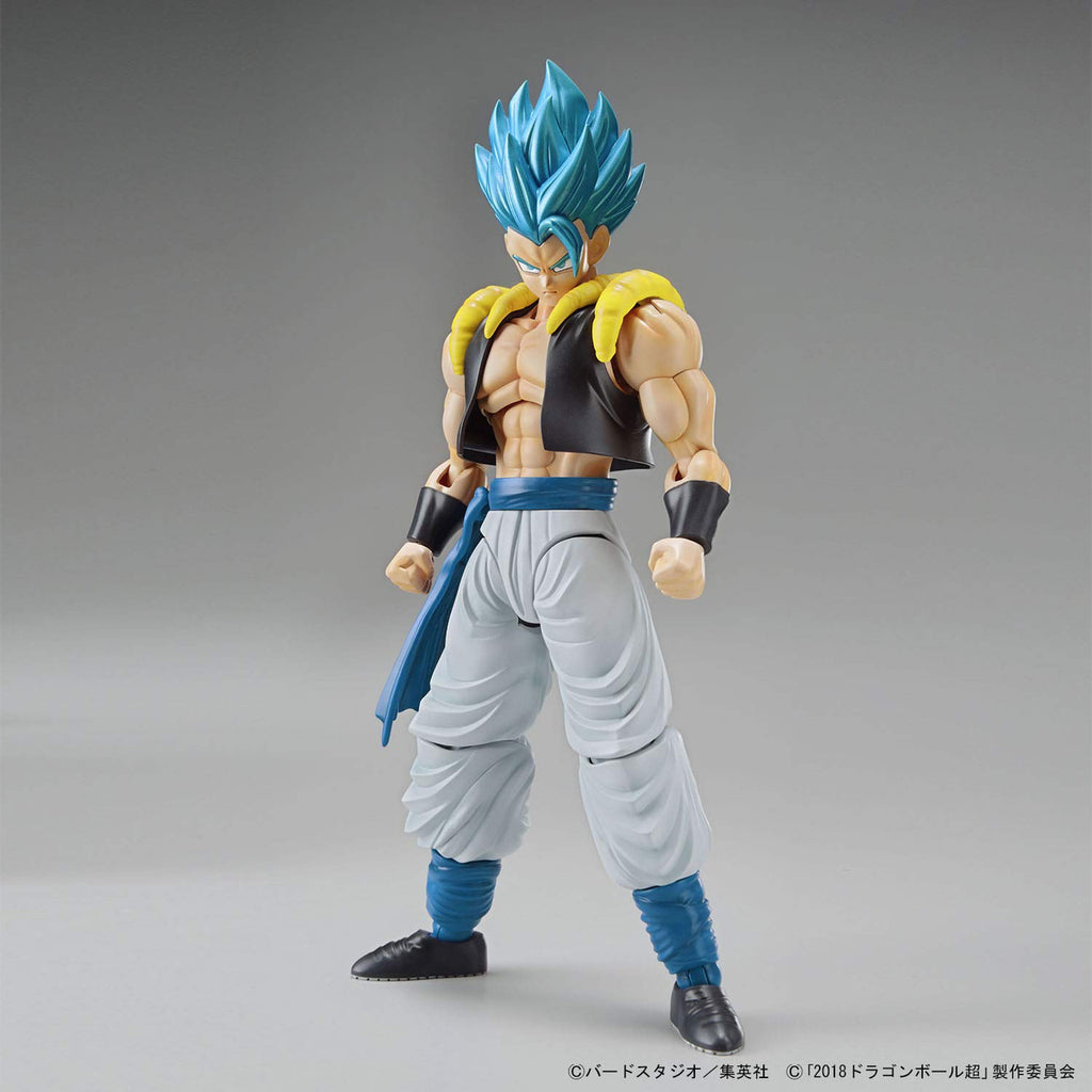 Bandai Spirits Figure-Rise Standard Super Saiyan God Super Saiyan Gogeta Dragon Ball Super,Multi
