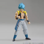 Bandai Spirits Figure-Rise Standard Super Saiyan God Super Saiyan Gogeta Dragon Ball Super,Multi