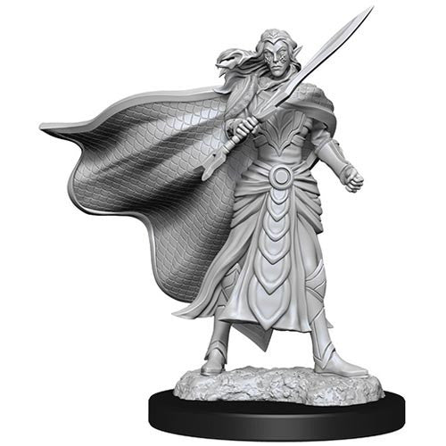 Wizkids Dungeons & Dragons Wizkids Elf Fighter & Cleric Magic the Gathering Unpainted s W14 Elf Fighter & Elf Cleric Miniature D&D WZK90279